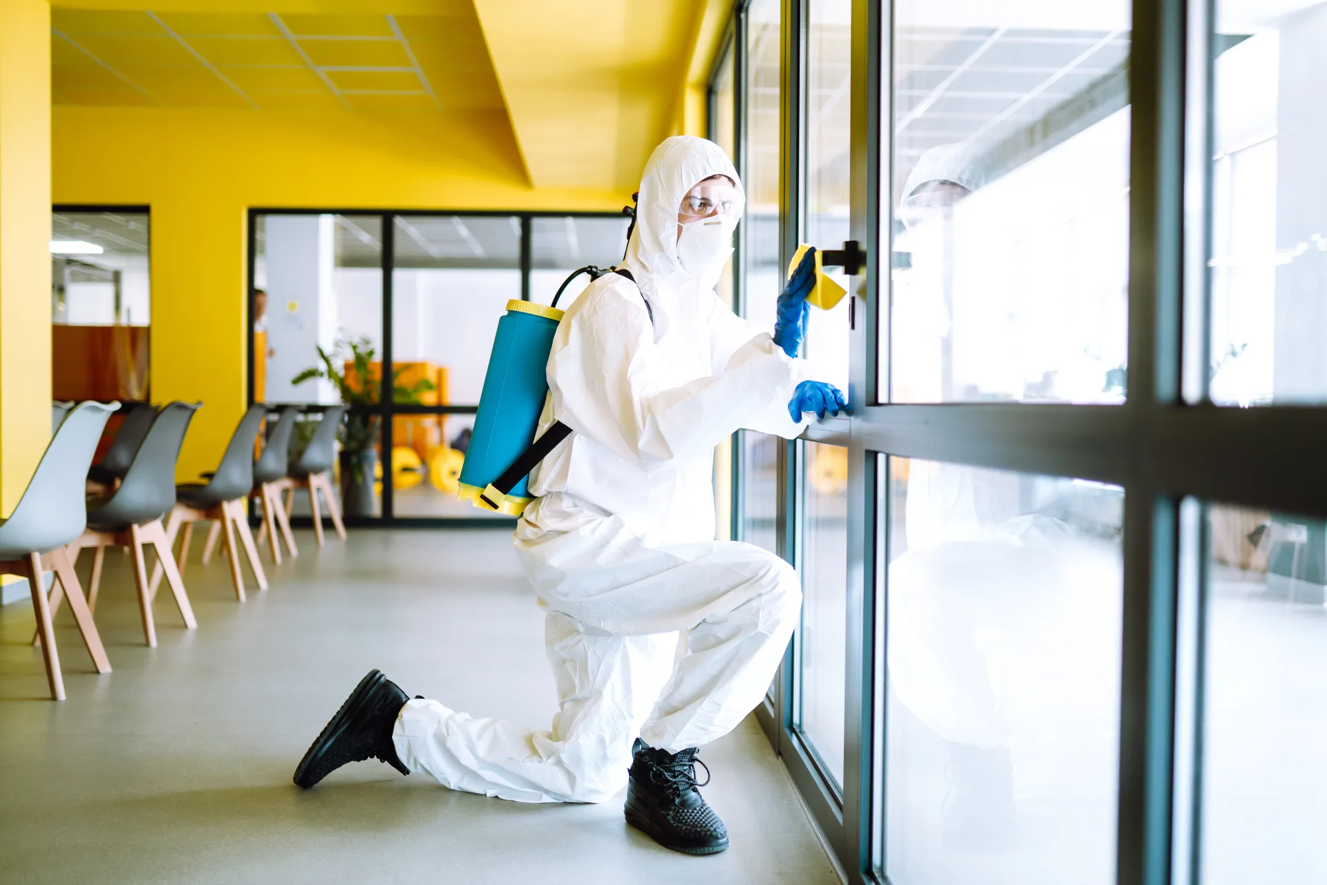 Prevention Program Pricing for GTA Businesses | Bugsway Commercial