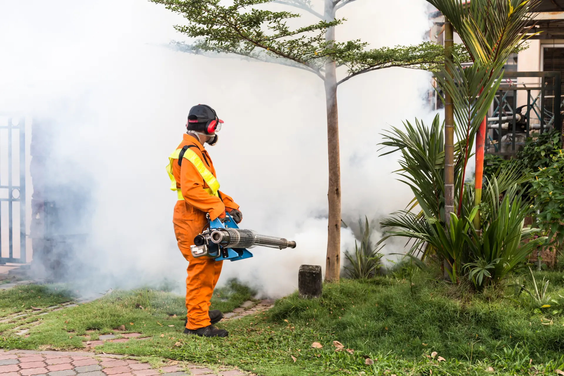 Professional mosquito control service in Burlington