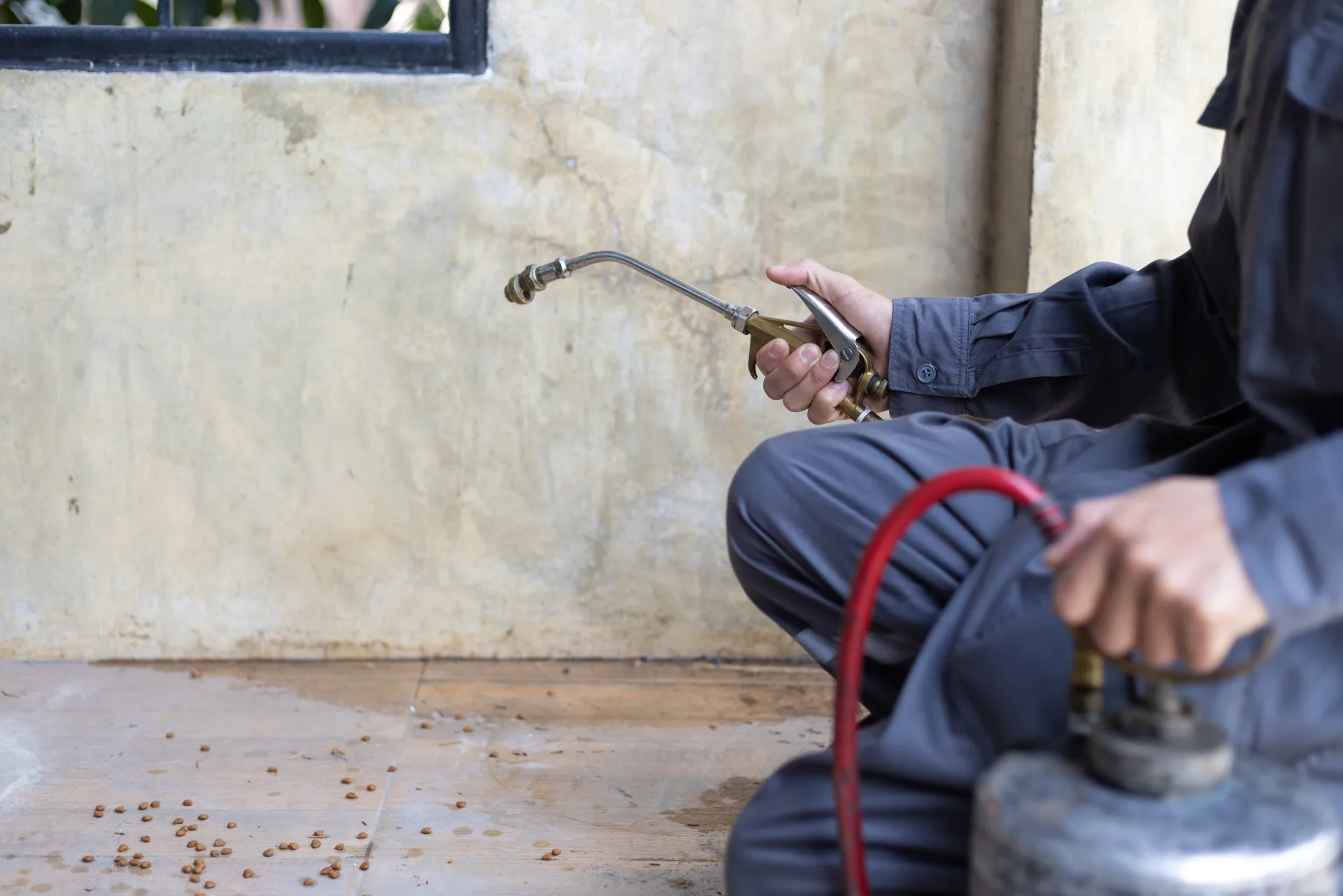 Bugsway certified spider control technician in Oakville