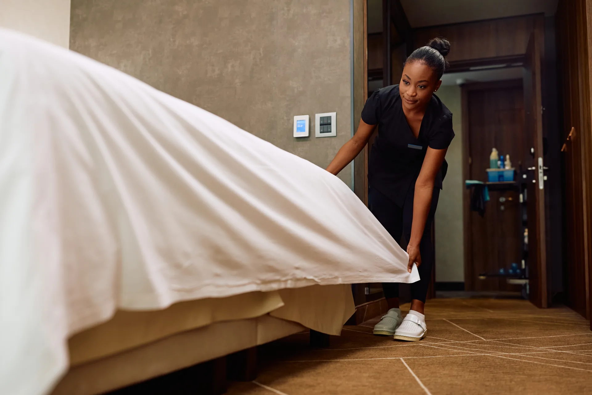 Bugsway Bed Bug Inspection - professional pest control Toronto GTA