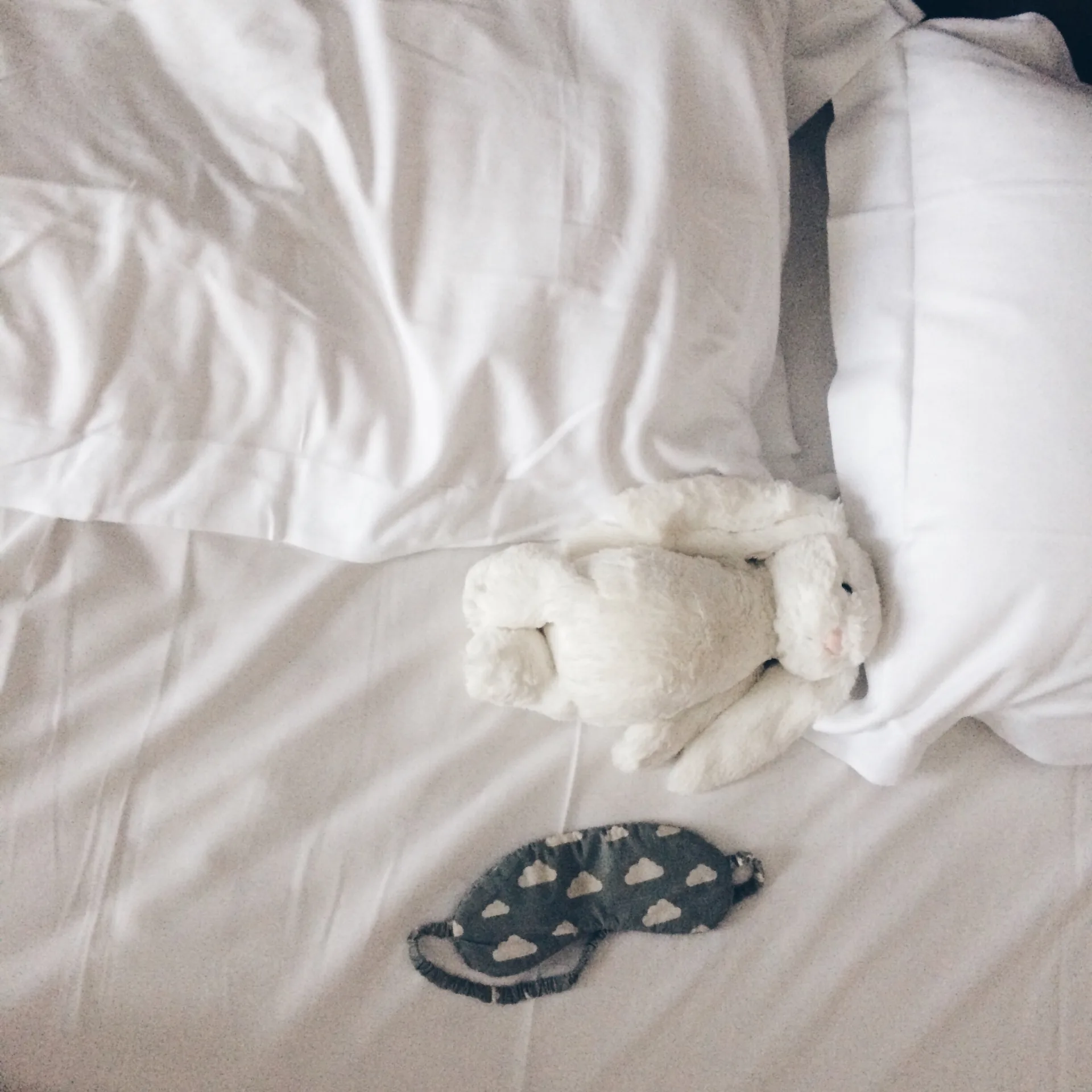 How Professional Chemical Bed Bug Treatment Works | Bugsway Bed Bug Treatment