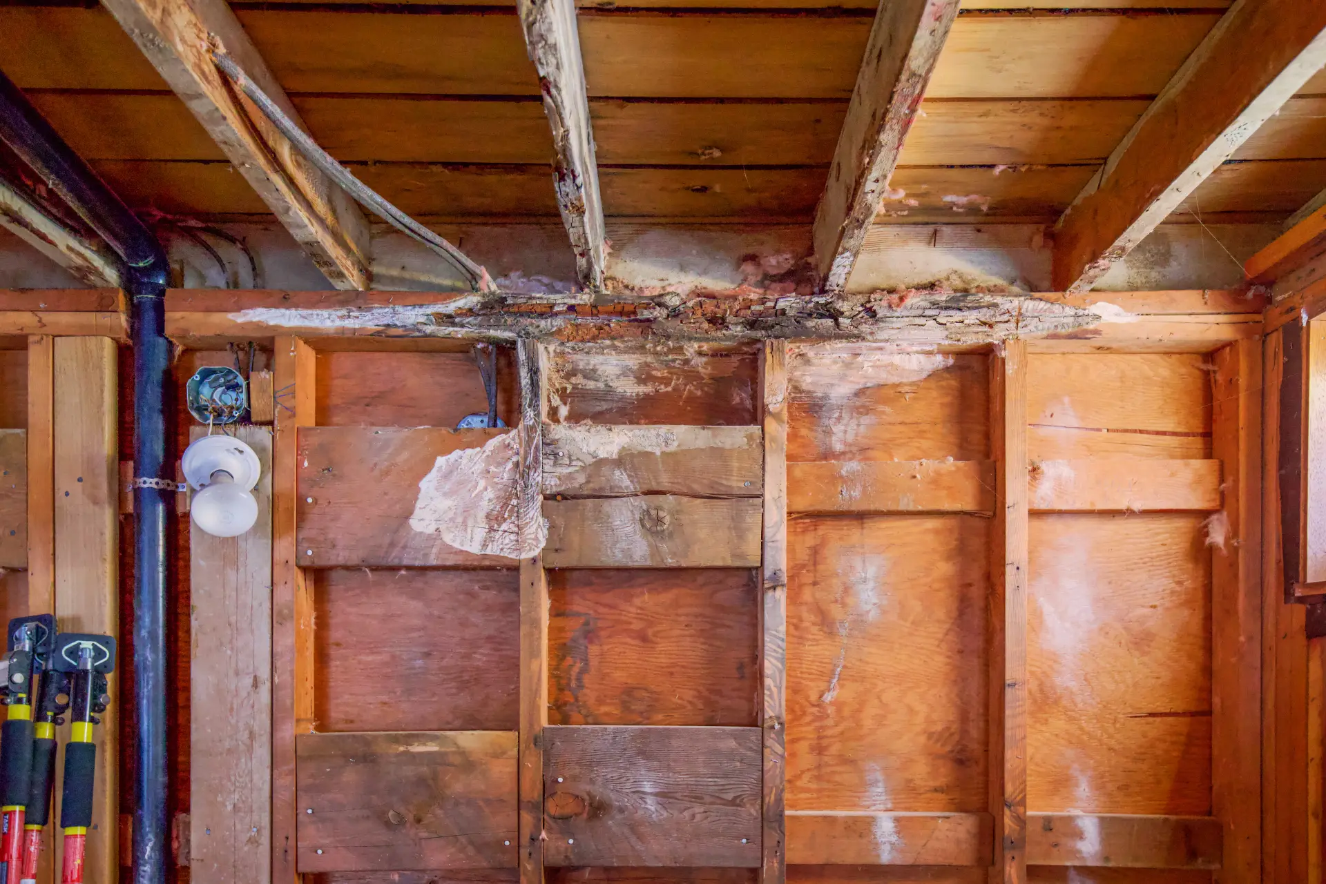 Termite Warranties and Structural Protection Plans | Bugsway Termite Treatment